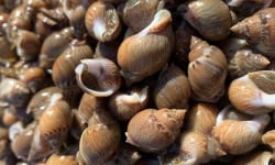 Coopérative Maritime La Graulenne - Nasse Changeante 1kg