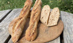 Ferme Sinsac - Baguette au levain (lot de 4 x 250grs) au blé