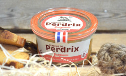 Terre de Gallie - Terrine de perdrix basquaise