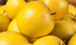 Maréchal Fraicheur - Pommes Golden - 5 kg