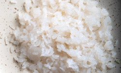 France-Konjac - Riz de konjac en vrac-Format restauration/ fabrication (Quantité minimum de commande: 25 kg)