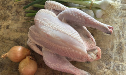 La Maison Pourthié - Poulet 2,5kg