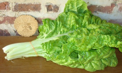 Ferme de Cernunnos - Bettes bio - 500g