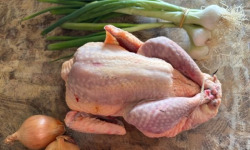 La Maison Pourthié - Pintade 2kg