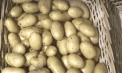 Ferme Sinsac - Pomme de terre en sachet de 500 grs