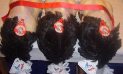 Ferme Tradi-Bresse - Dinde de Bresse AOP 3.4 kg Prêt à Cuire