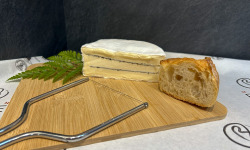 Maison BAYLE - Champions du Monde de boucherie 2016 - Brillat Truffé - Les Truffiers - 620g