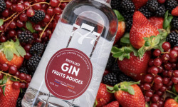 Distillerie de la Seine - Gin Fruits Rouges
