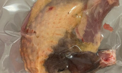 Ferme du Vidalies - Suprême de chapon de pintade de noël