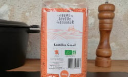 La Ferme du Joyeux Laboureur - Lentilles corail décortiquées 500g