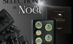 Caviar Perle Noire - Coffret Perle Noire 19:30