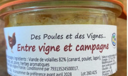 Des Poules et des Vignes à Bourgueil - Entre Vignes et Campagne