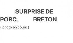 Ferme de la Paumerais - SURPRISE DE PORC BRETON 1 Kg