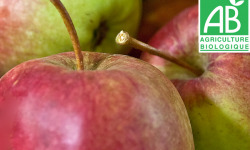 Mon Petit Producteur - Pomme Bio Arlet - 1kg