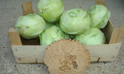Ferme de Cernunnos - Chou-rave