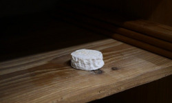 Alléosse Maitre Artisan Affineur Fromager - Saint Marcellin IGP moulé à la main au lait cru