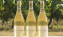 Domaine la Paganie - Vin blanc Bio - Petit blanc - 3 bouteilles