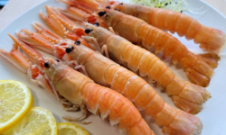 La Criée d'à Côté - Langoustines Cuites - 1 kg