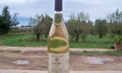 Domaine Pons Gralet - Vin Blanc IGP - Cotes Catalanes 2025 Bio x24