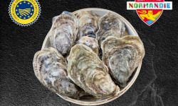 Le Termer - Huîtres de Normandie IGP N°4-24 Pièces "Saveurs de Normandie"