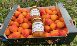Délit de Gourmandise - Lot 3,5kg Abricots Bio et 2x375g de confitures d'Abricot du Roussillon Bio