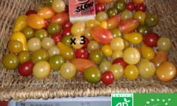 LES JARDINS DE KARINE - Tomates cerises en mélange - 3kg