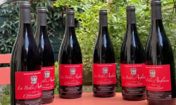 Domaine des Mazis - FOIRE AUX VINS - AOC Châteaumeillant - Vin Rouge - La Belle Anglaise 2019 - 6x75 cl