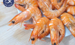 La Criée d'à Côté - Crevettes Roses 30/50 - 2 kg