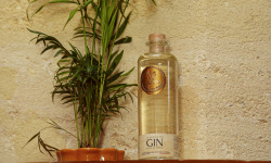 Maison Mounicq - Gin Avem - Sylvia - Liqueur de gin à la fleur de sureau