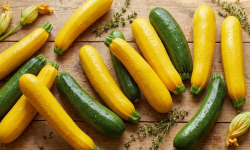 Nature et Saveurs - Ferme Aquaponique et Permacole Astérienne - Courgettes Allongées Jaune et/ou Verte – Fraîches du Périgord