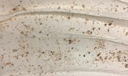 Glaces de Meuse - Crème Glacée "Dragée de Verdun" - 360 gr