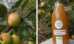 Terres EnVie - Jus De Pommes Bio « rustic » Variétés Anciennes