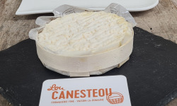 Lou Canesteou - Saint Félicien Tentation double crème