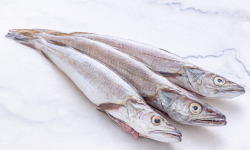 Poissonnerie La Piriacaise - Merlu (colin) 500g