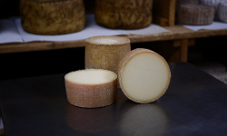 Alléosse Maitre Artisan Affineur Fromager - Tête de Moine AOP (1/2)