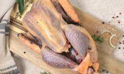 La Ferme Durbois - [Précommande] Pintade chaponnée - 2,3 kg