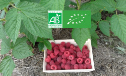 LES JARDINS DE KARINE - Framboise d'automne surgelée - 500g