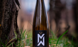 Domaine François WECK et fils - FOIRE AUX VINS : Pinot gris Vendange Tardive 2022 75cl x 6