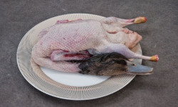 Canards de la Maison Gérard Burgaud - Canard Croisé au Sang Effilé (avec abats)
