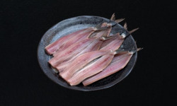 Poissonnerie Robert - Filet de Sardine 500g