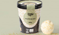 Mademoiselle Fayel - Crème Glacée Volupté de Noix de Coco - 100% Bio 500ml