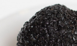Aubertie Truffe - [Précommande] Truffe noire du Périgord 100g