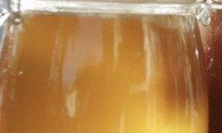 L'OLIVERAIE DU COUDON - MIEL D’ORANGER – POT 375 G