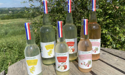 Ferme Sinsac - Trio de pétillants sans alcool 75 cl (mimosa, pommes, fraise-rhubarbe) x 30