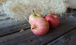 Les Jardins de Gérard - Pomme Gala Bio - 1 kg