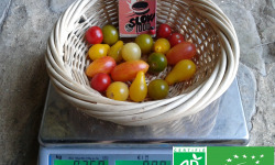 LES JARDINS DE KARINE - Tomates cerises en mélange - 250g