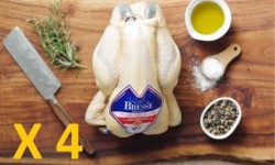 La Grange Renaud - lot de 4 poulets de Bresse (2.0kg x 4)