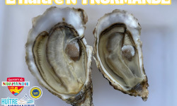 Le Termer - Huitres de Normandie IGP Saveurs de Normandie N°1