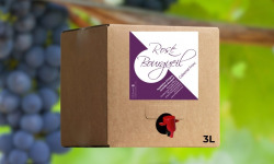 Domaine de la Chopinière du Roy - BIB de Rosé Sec et Fruité 2025 - 3 Litres