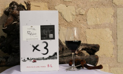 Domaine de la Chopinière du Roy - Lot de 3 BIB de vin rouge 2025 Saint Nicolas de Bourgueil 5 Litres